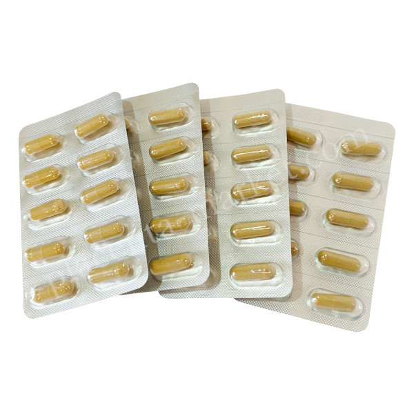 ルンブルサラシア シートタイプ